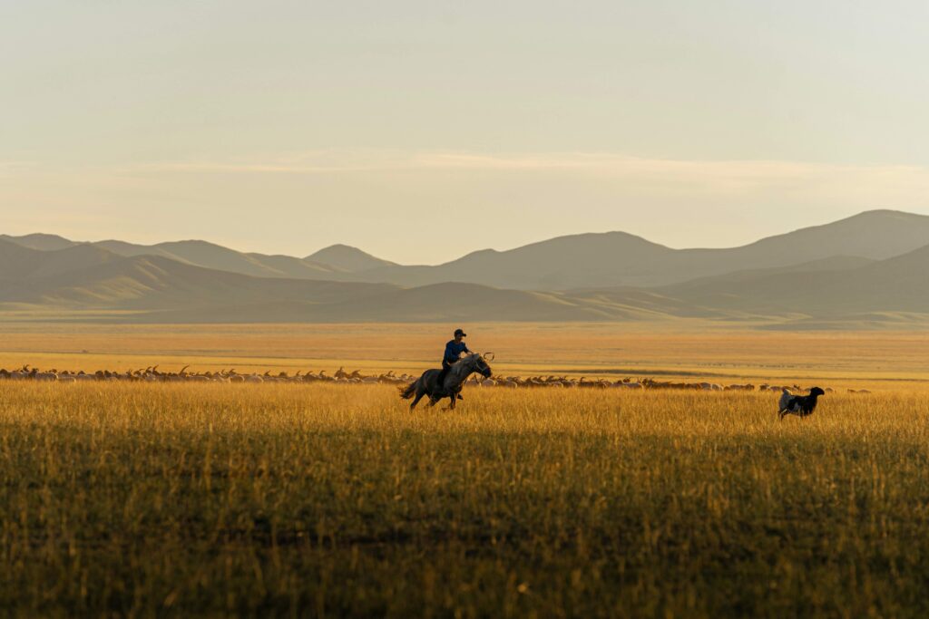 Itinéraire Mongolie 1 semaine - Circuit en voiture depuis Oulan-Bator